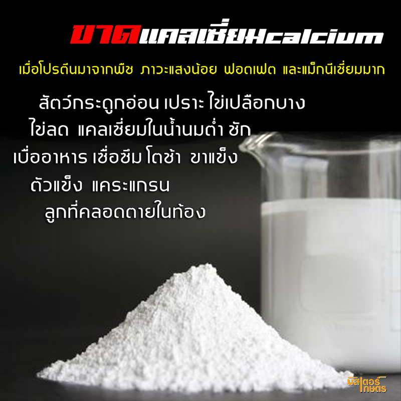 มินเนอร์99 "Minner99" แร่ธาตุจำเป็นสำหรับสัตว์